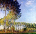 Poplars on the Banks of the River Epte Seen from the Marsh Claude Monet woods forest